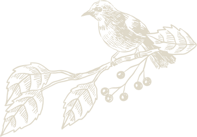 Decorative illustration